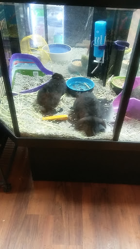 Pet Supply Store «Pet Valu», reviews and photos, 3558 Soldano Boulevard, Columbus, OH 43228, USA