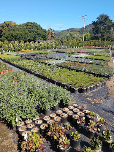 Griggs Nursery image