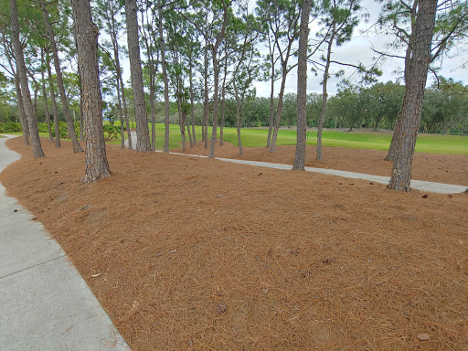 Golf Course «Tranquilo Golf Club at Four Seasons Resort Orlando», reviews and photos, 3451 Golf View Dr, Lake Buena Vista, FL 32830, USA