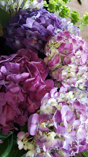 Florist «The Secret Garden», reviews and photos, 12 Southwest Ave, Jamestown, RI 02835, USA