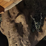 Photo n°3 de l'avis de Simona.a fait le 08/09/2022 à 12:13 sur le  Il Pirata à Palinuro, Centola