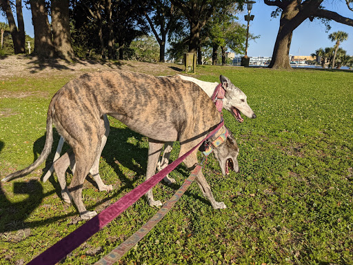 Pet Supply Store «3 Dogs and a Chick», reviews and photos, 130 Miracle Strip Pkwy SE, Fort Walton Beach, FL 32548, USA