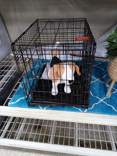 Pet Supply Store «PetSmart», reviews and photos, 4485 24th Ave, Fort Gratiot Twp, MI 48059, USA