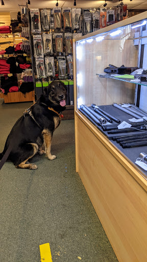 Sporting Goods Store «Big Bear Hunting & Firearms - Hunting Store», reviews and photos, 401 Putnam Pike, Harmony, RI 02829, USA