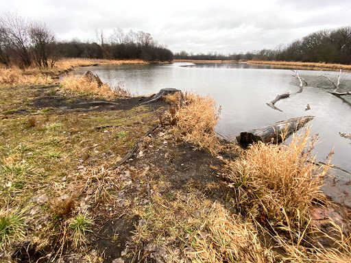 Nature Preserve «Penny Road Pond», reviews and photos, Penny Rd, Barrington, IL 60010, USA