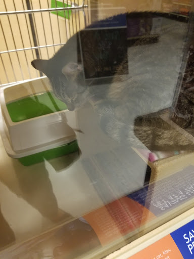 Pet Supply Store «PetSmart», reviews and photos, 4013 Wisconsin 28, Kohler, WI 53081, USA
