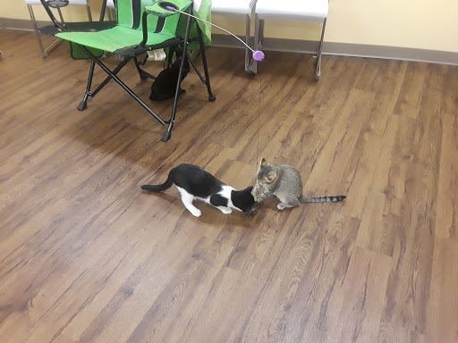 Pet Supply Store «PetPeople», reviews and photos, 3330 Washtenaw Ave, Ann Arbor, MI 48104, USA