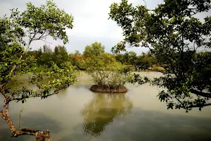 Piyali Island image