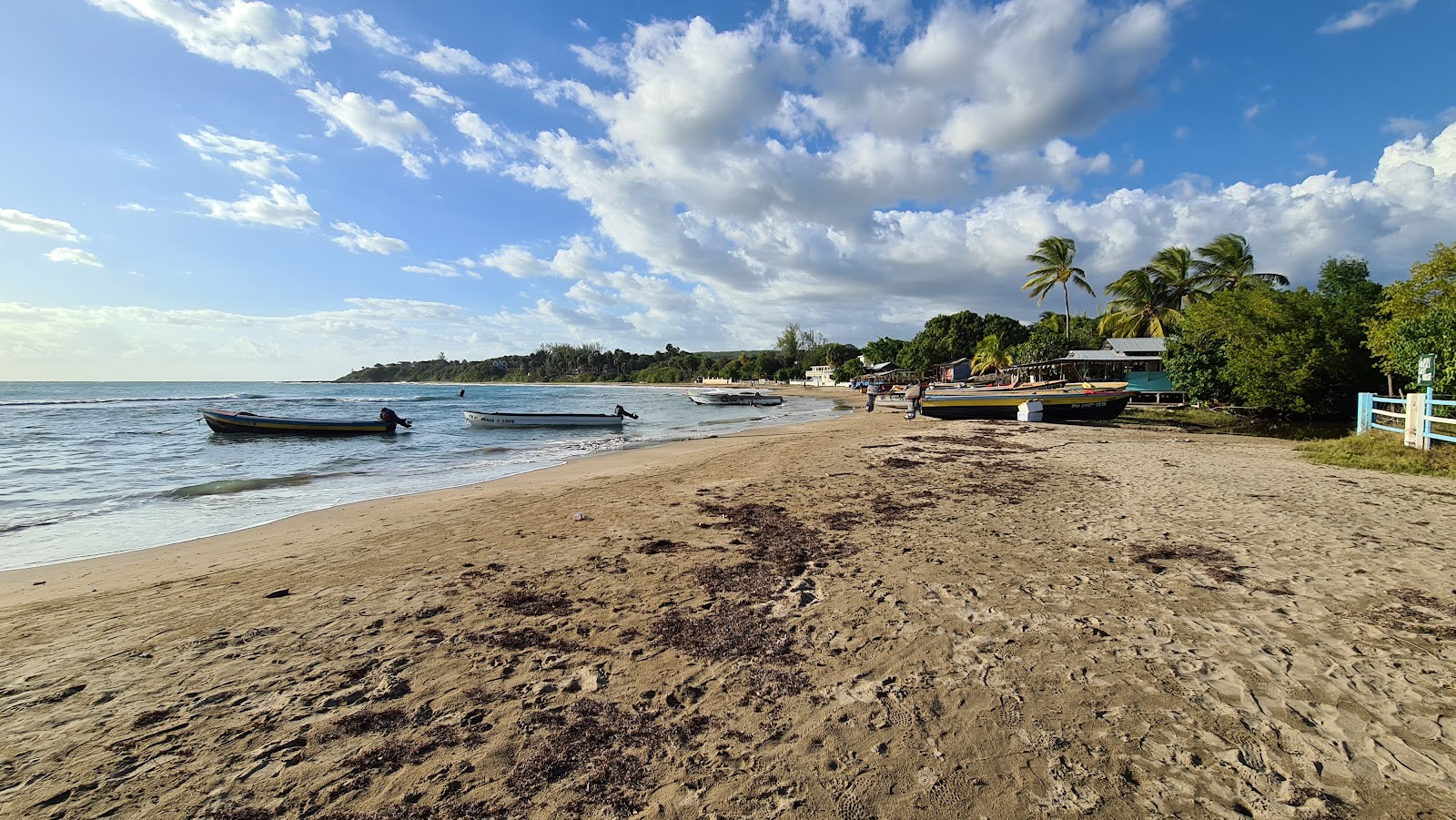 Foto af Frenchman Beach med lys fint sand overflade