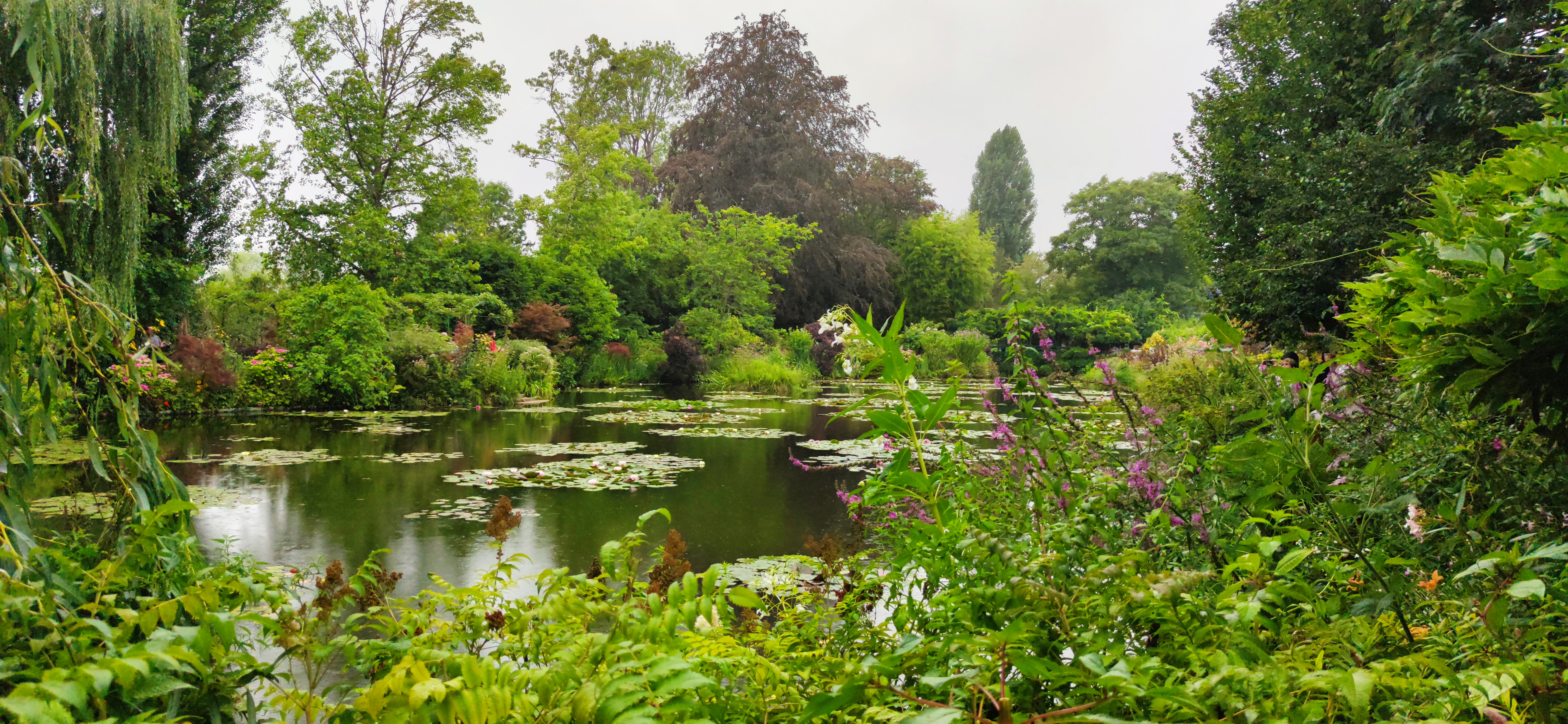 Photo n° 2 de l'avis de Margo. fait le 06/08/2023 à 18:30