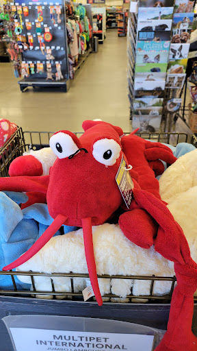 Pet Supply Store «Petco Animal Supplies», reviews and photos, 859 Kings Creek Dr, Tupelo, MS 38804, USA