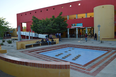 Universidad De La Guajira