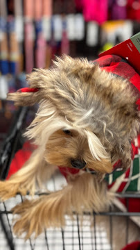 Petco - Photo 4 - Car repair in Kennewick, WA, Kennewick