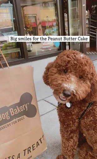 Pet Supply Store «Three Dog Bakery Inc», reviews and photos, 13904 Town Center Blvd # 200, Noblesville, IN 46060, USA