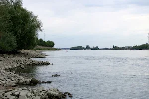 Dunapart-galériaerdő image