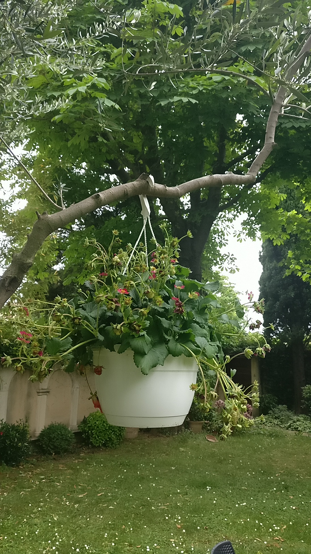Photo n° 3 de l'avis de Olivier.i fait le 26/05/2019 à 10:25
