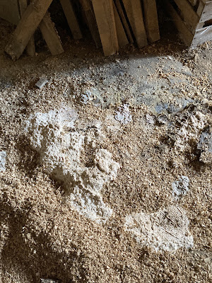 Vigouroux Traitements SOS Mérule Auvergne à Saint-Georges-d'Aurac