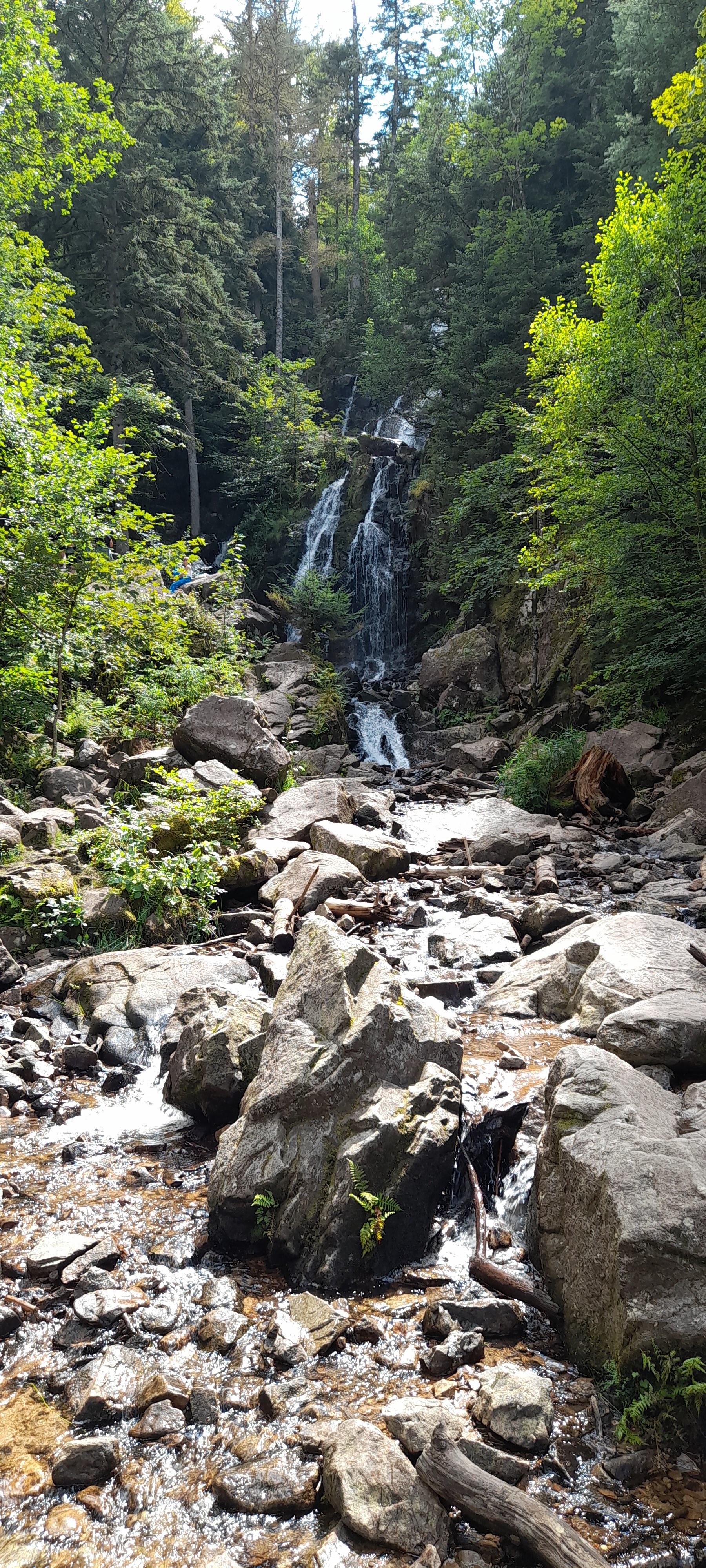 Photo n° 5 de l'avis de Philippe.e fait le 10/08/2021 à 15:47