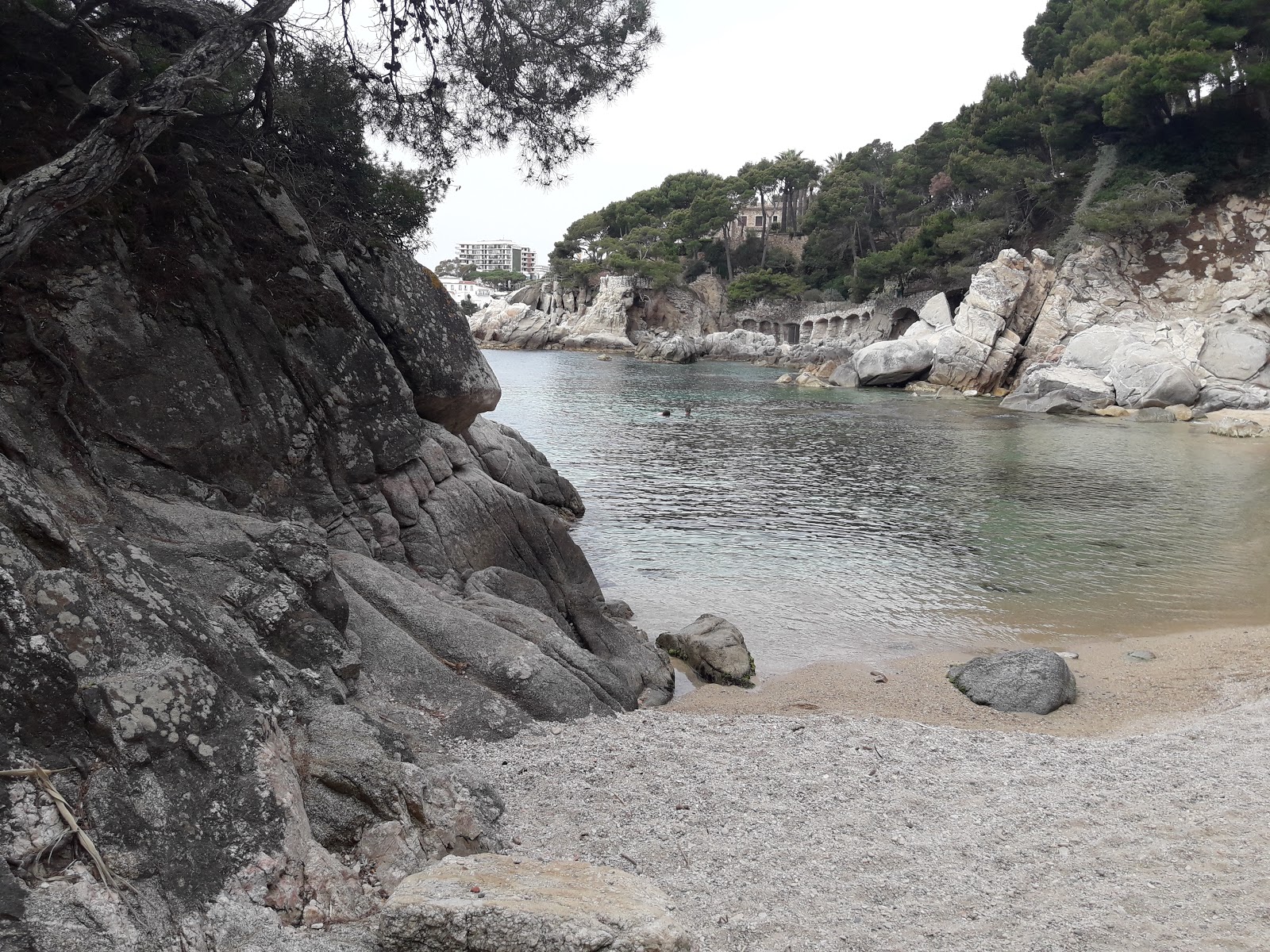 Foto di Cala del Pi zona selvaggia