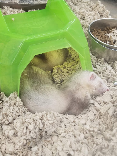 Petco