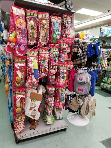 Pet Store «Petland Discounts - LI City», reviews and photos, 34-60 48th Ave, Queens, NY 11101, USA