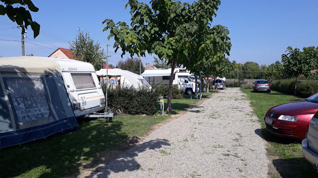 Értékelések erről a helyről: Termál Kemping Barcs, Barcs - Kemping