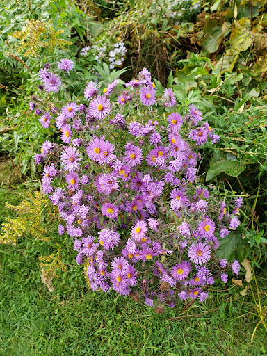 Park «Mary Cummings Park», reviews and photos, 25 Blanchard Rd, Burlington, MA 01803, USA