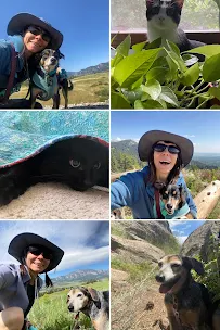 Whisker Whispers Petcare - Car repair in , Arvada - Rated 0.0/5