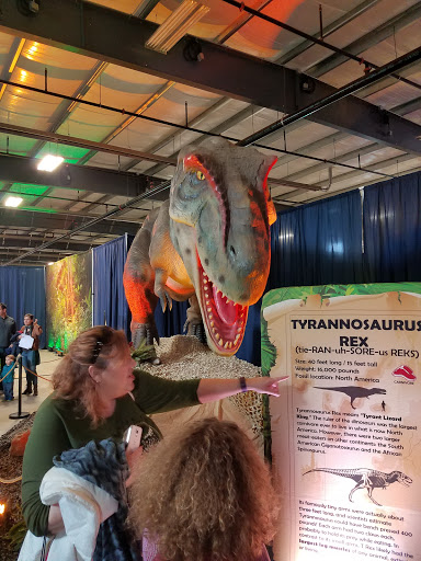 Amusement Center «Strike & Spare Family Fun Center», reviews and photos, 90 Volunteer Dr # 300, Hendersonville, TN 37075, USA