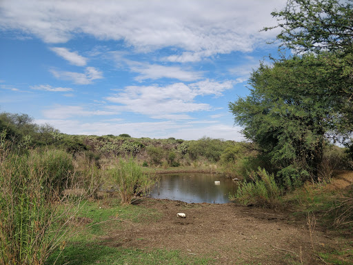 ANP Bosque de Cobos Parga