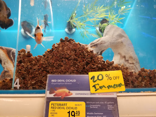 Pet Supply Store «PetSmart», reviews and photos, 1505 11th Ave NW, Issaquah, WA 98027, USA