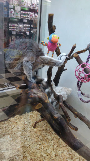 Pet Supply Store «Pets Plus», reviews and photos, 6419 University Ave, Lubbock, TX 79413, USA