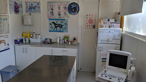 Centro Veterinario Arenas en Arenas de San Pedro