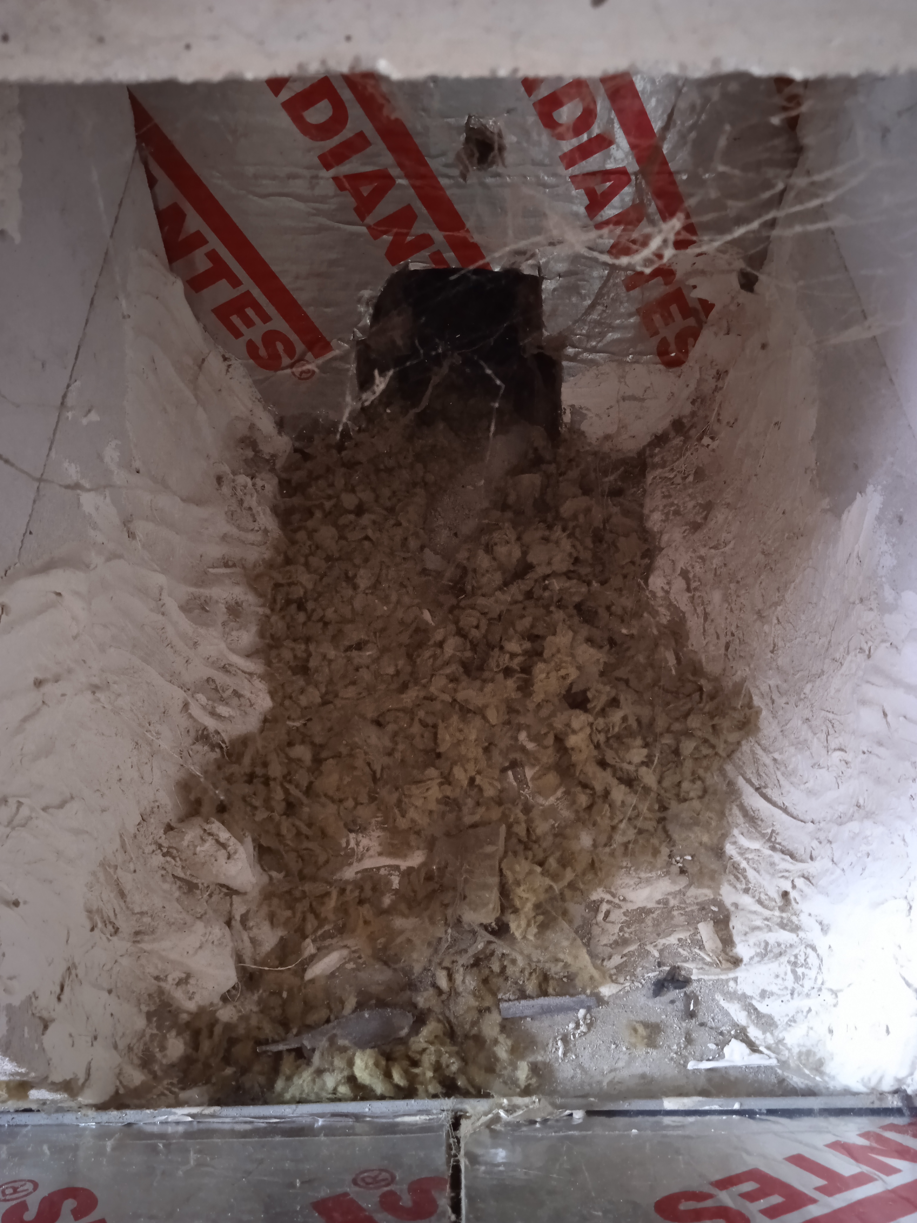 Photo n° 14 de l'avis de David.e fait le 19/08/2022 à 17:29