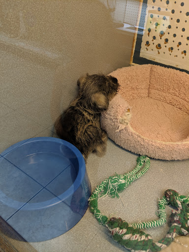 Pet Store «Animal Ark Pet Stores», reviews and photos, 33 Center St, Orem, UT 84057, USA