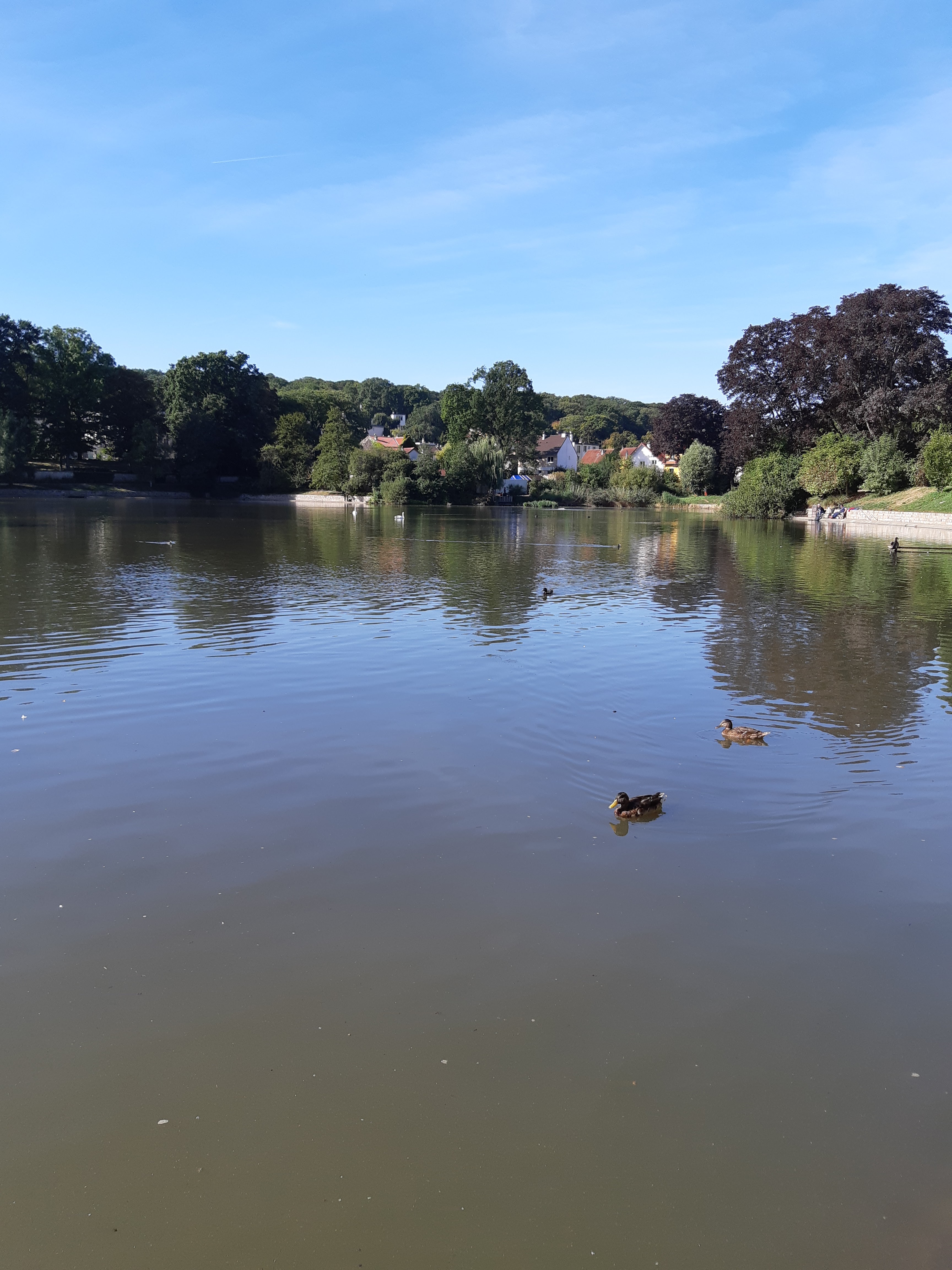 Photo n° 2 de l'avis de Jean-Luc.e fait le 15/12/2018 à 04:22