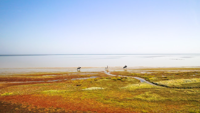 Staycationdanmark - Rejsebureau