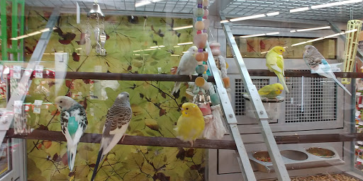 Pet Store «PetSmart», reviews and photos, 17150 Ventura Blvd, Encino, CA 91316, USA