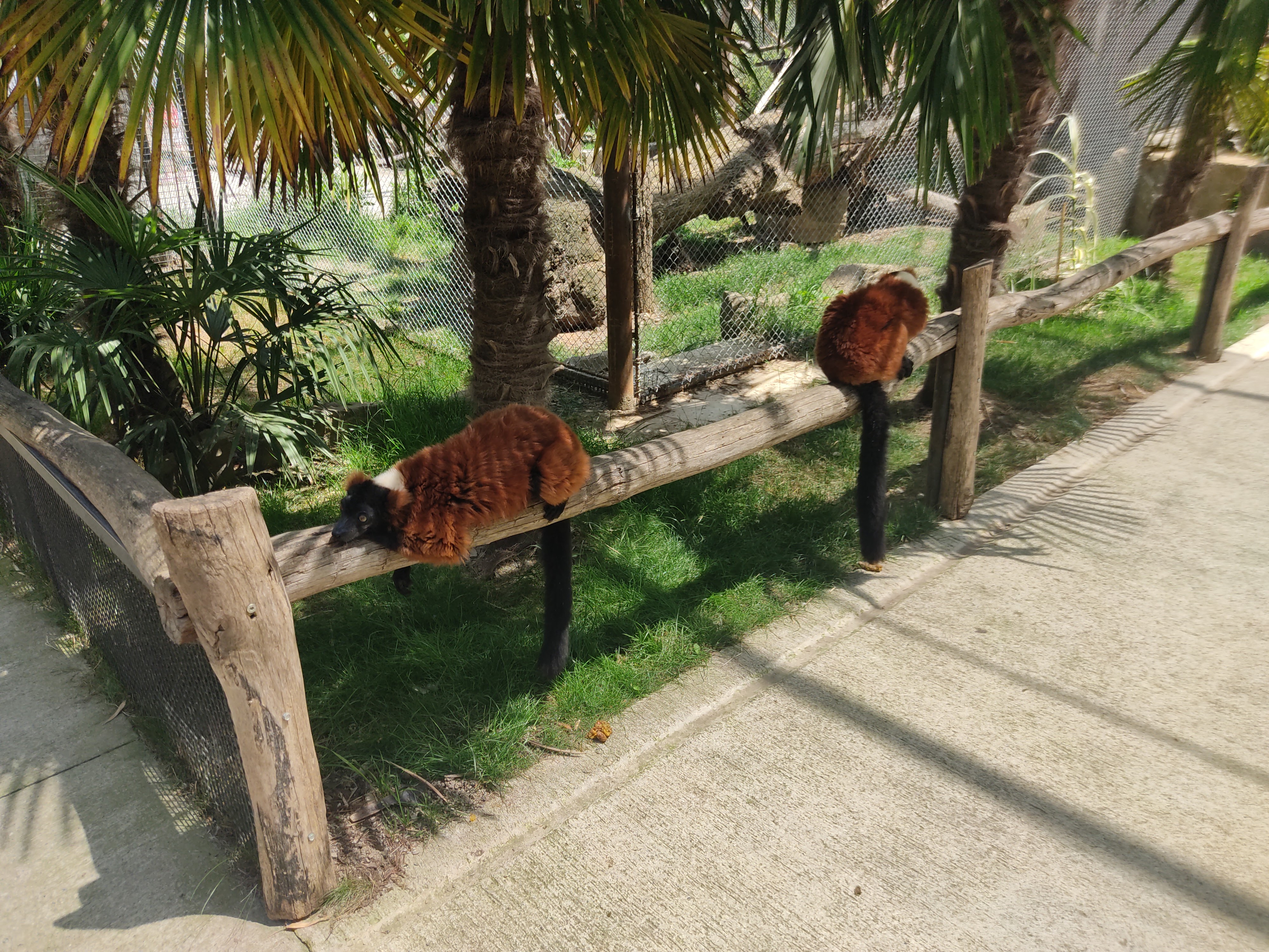 Photo n° 14 de l'avis de David.i fait le 18/11/2019 à 20:29