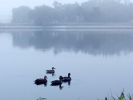 Park «John S. Taylor Park», reviews and photos, 1100 8th Ave SW, Largo, FL 33770, USA