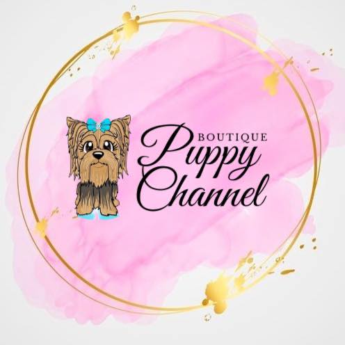 Boutique puppy channel - Antofagasta