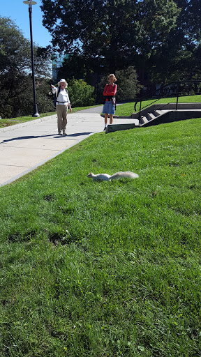 War Memorial «Bunker Hill Monument», reviews and photos, Monument Sq, Charlestown, MA 02129, USA