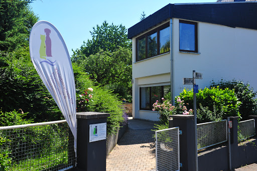 Kleintierpraxis für Physiotherapie &Osteopathie unter Beselich, Hessen