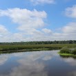 Taylor Plantation Coosaw Creek Dock