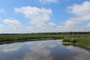 Taylor Plantation Coosaw Creek Dock