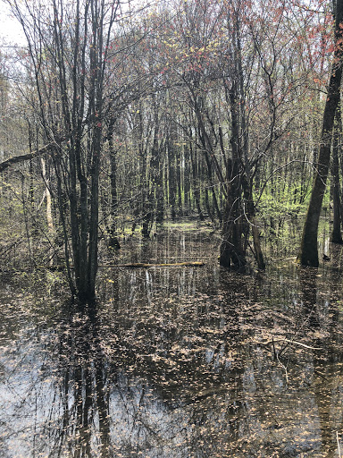 Nature Preserve «Big Creek Greenway», reviews and photos, 3785 Webb Bridge Rd, Alpharetta, GA 30022, USA