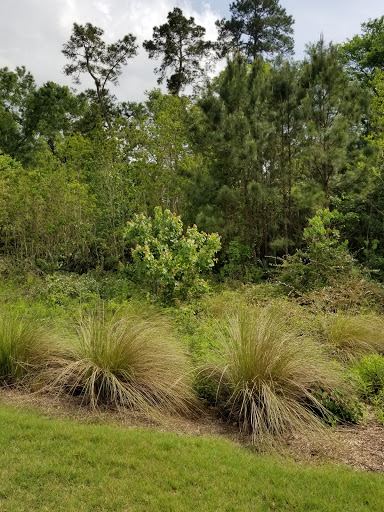 Golf Resort «Golf Club of Houston», reviews and photos, 5860 Wilson Rd, Humble, TX 77396, USA