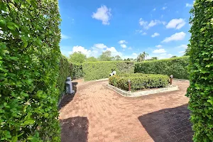 Hedge Maze image