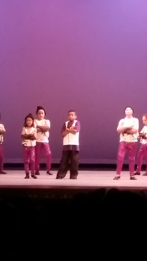 Performing Arts Theater «The Schwartz Center for the Arts», reviews and photos, 226 S State St, Dover, DE 19901, USA