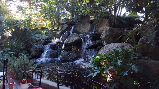 Garden «Brownstone Gardens», reviews and photos, 91 Brownstone Rd, Oakley, CA 94561, USA